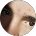 Robert